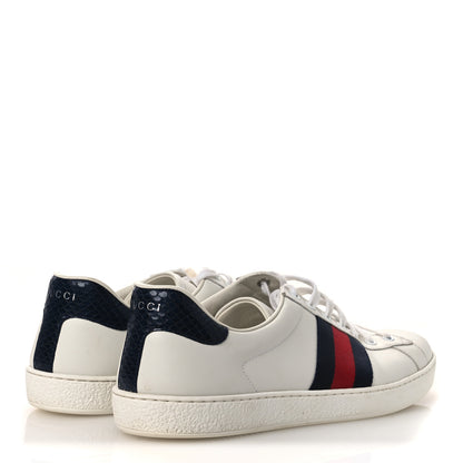 Gucci Calfskin Ayers Web Mens Ace Sneakers 10.5 White Blue 5 of 17