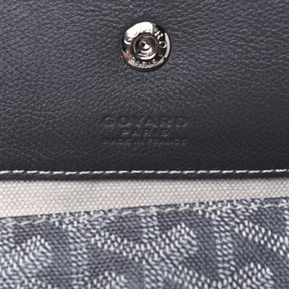 Goyard Goyardine Saint Louis PM Grey 6 of 15