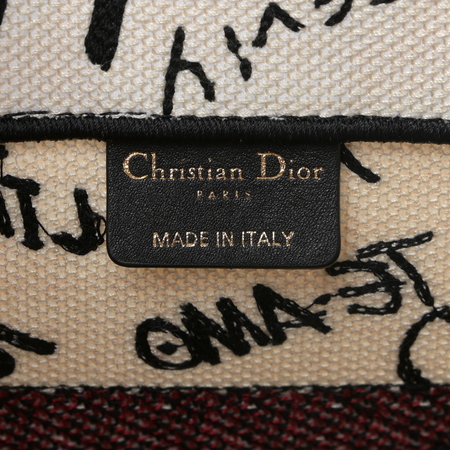 Christian Dior Canvas Embroidered Medium Dioramour Graffiti Book Tote Latte Multicolor 6 of 16