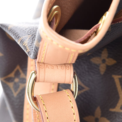 Louis Vuitton Monogram Petit Noe NM 8 of 10
