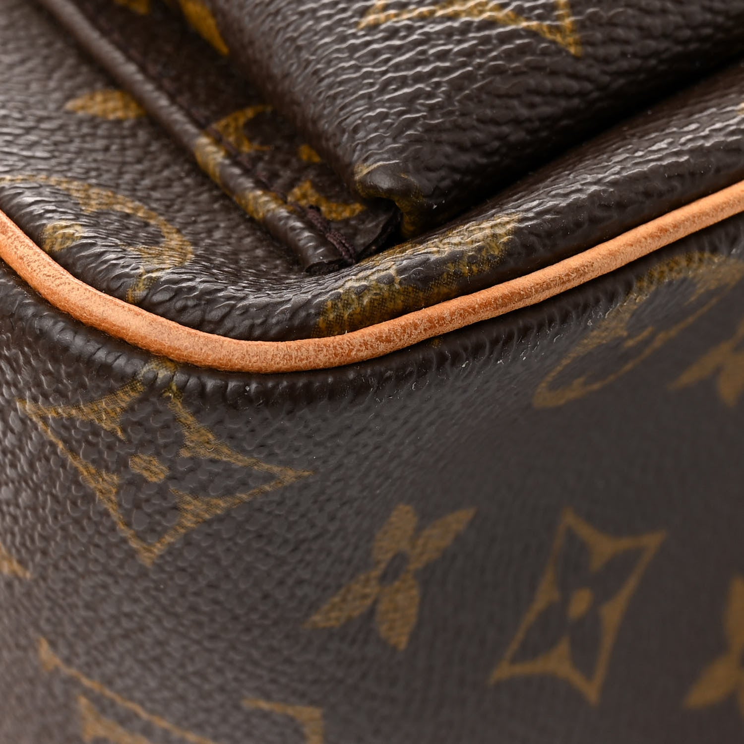 Louis Vuitton Monogram Viva-Cite GM 14 of 16