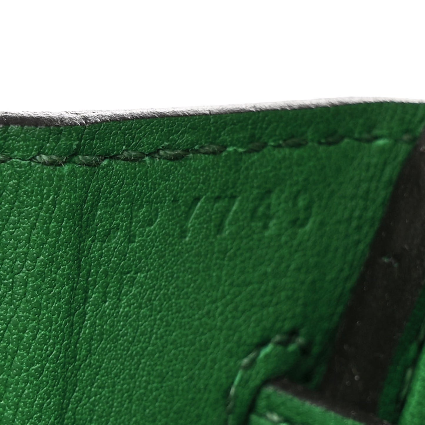 Swift Birkin 25 Cactus