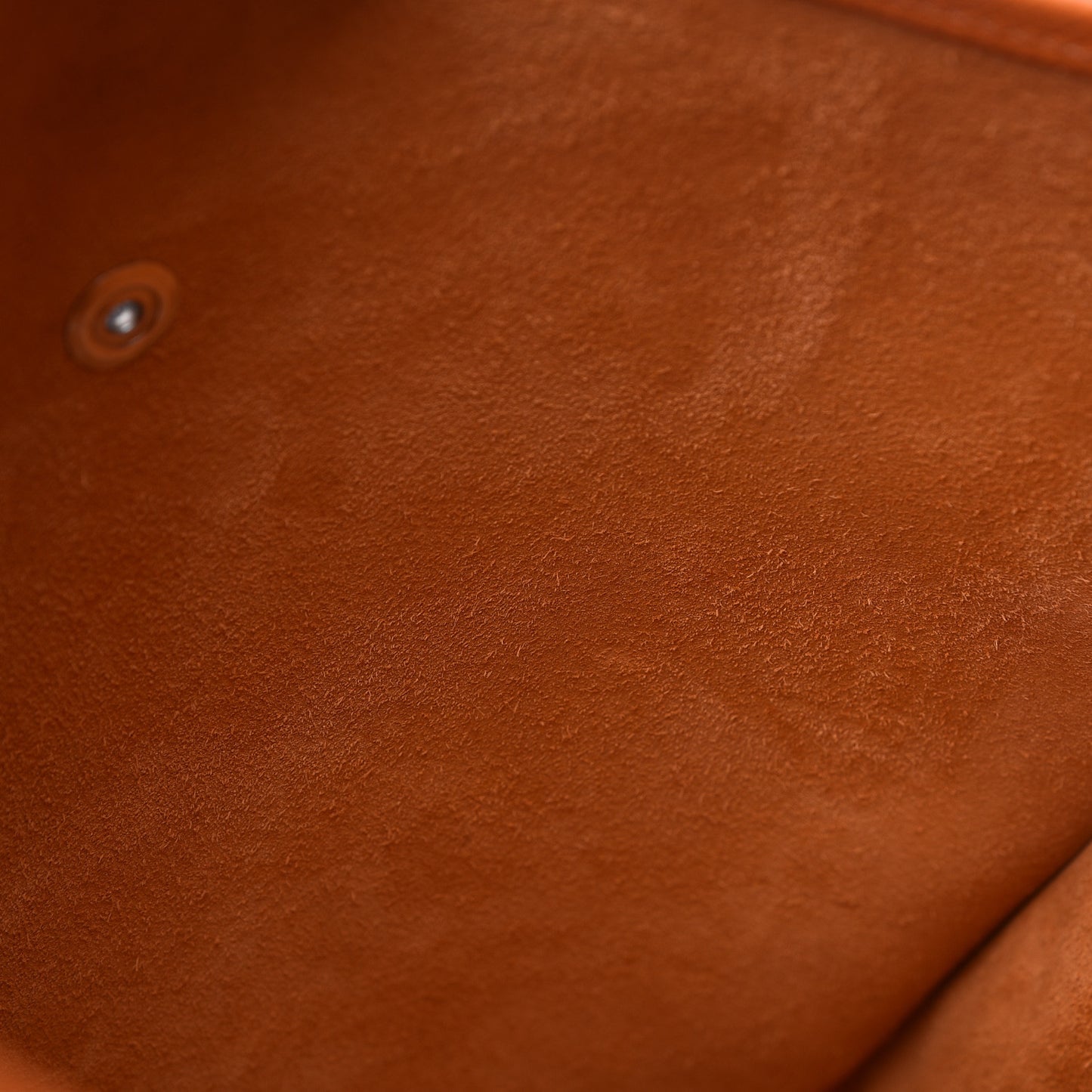 Epsom Evelyne GM Orange