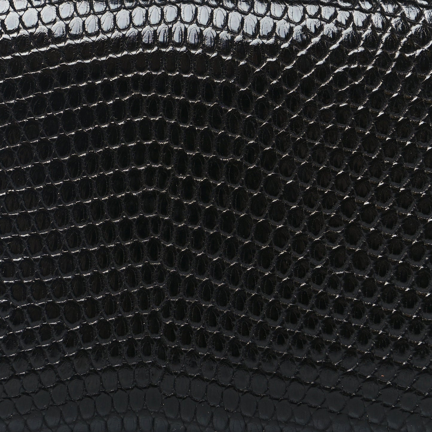 Lizard Calvi Card Case Black