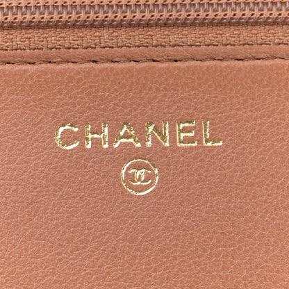 Chanel Lambskin Quilted Chanel 19 Wallet On Chain WOC Brown 6 of 11
