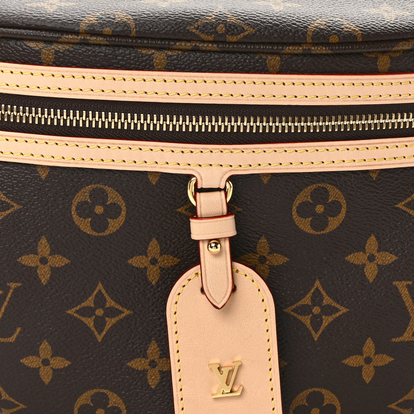 Monogram High Rise Bumbag