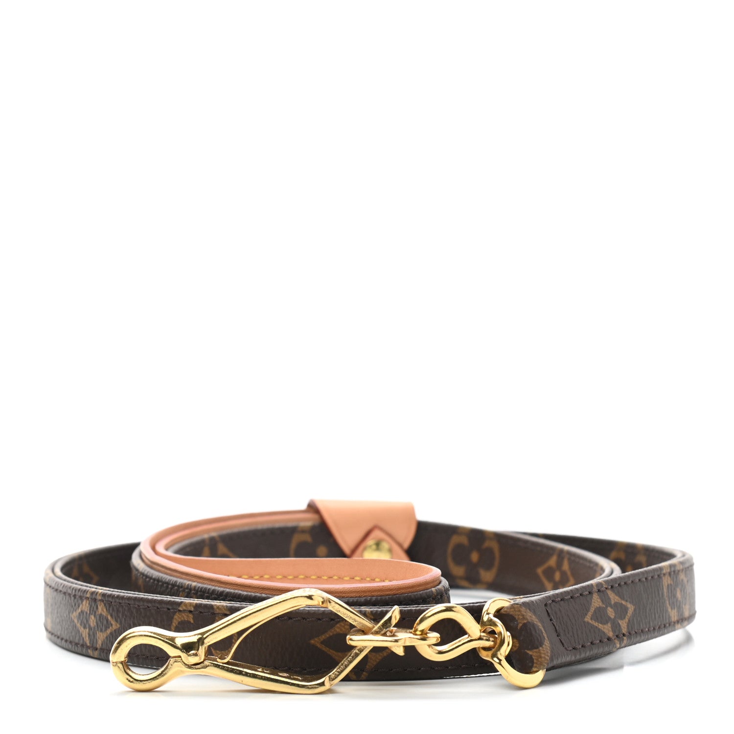Louis Vuitton Monogram Baxter Dog Leash MM 1 of 3