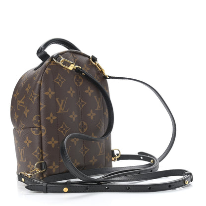 Louis Vuitton Monogram Palm Springs Backpack Mini 3 of 12