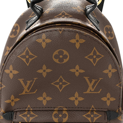 Louis Vuitton Monogram Palm Springs Backpack Mini 8 of 11