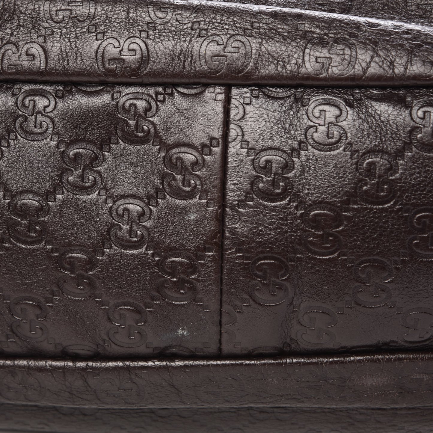 Guccissima Large New Ladies Web Hobo Dark Brown