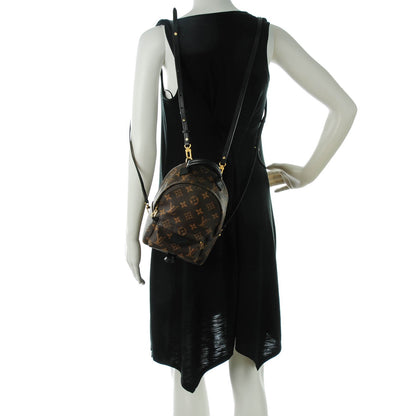 Louis Vuitton Monogram Palm Springs Backpack Mini 2 of 7