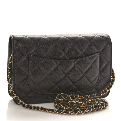 Chanel Caviar Quilted Wallet on Chain WOC Dark Brown 3 of 9