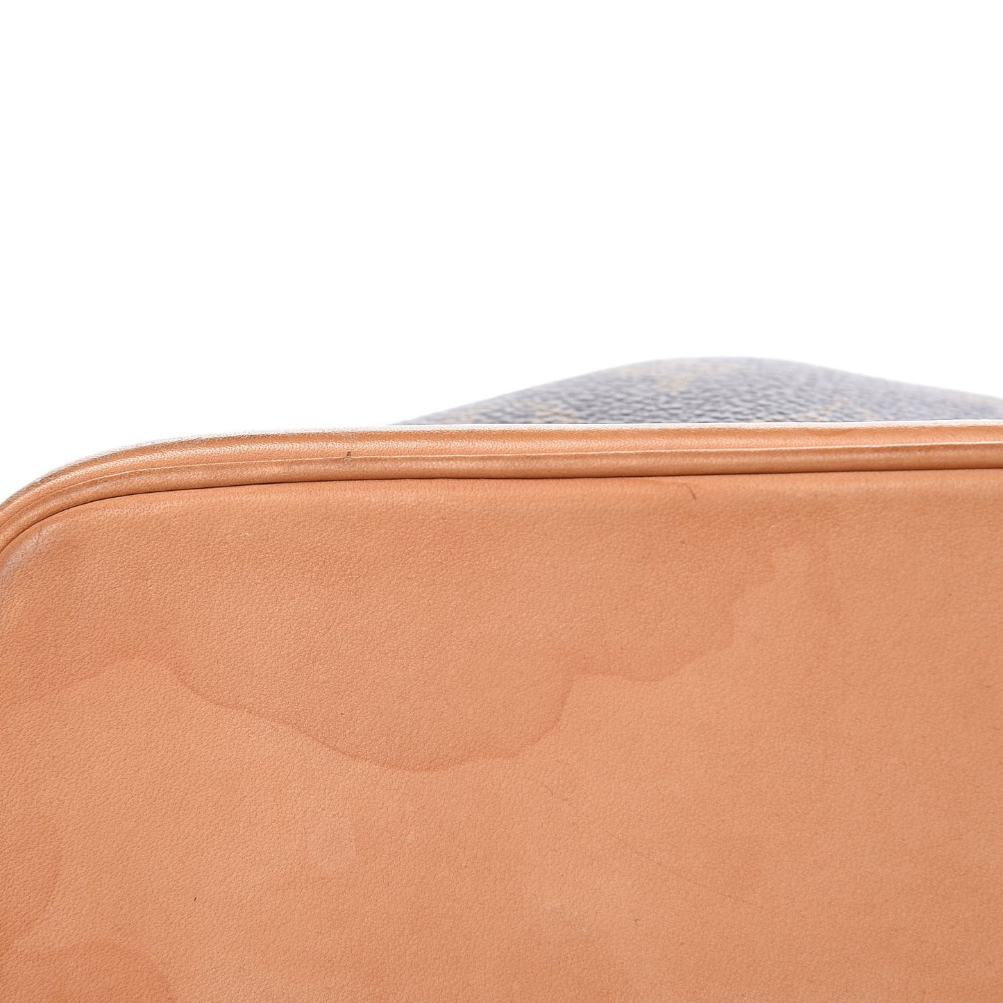 Monogram Mini Noe