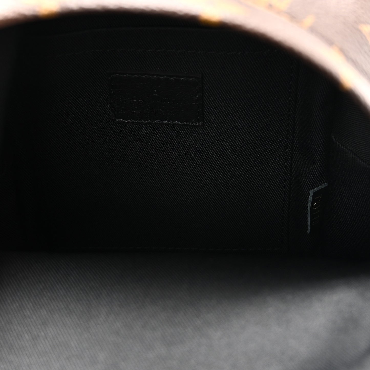 Monogram Palm Springs Backpack Mini