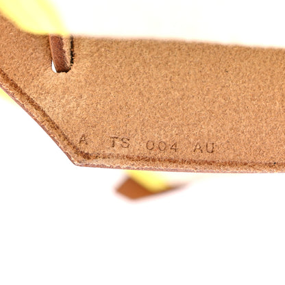 Hermes Toile H Berline Vache Hunter Herbag Zip 31 PM Lime 8 of 15