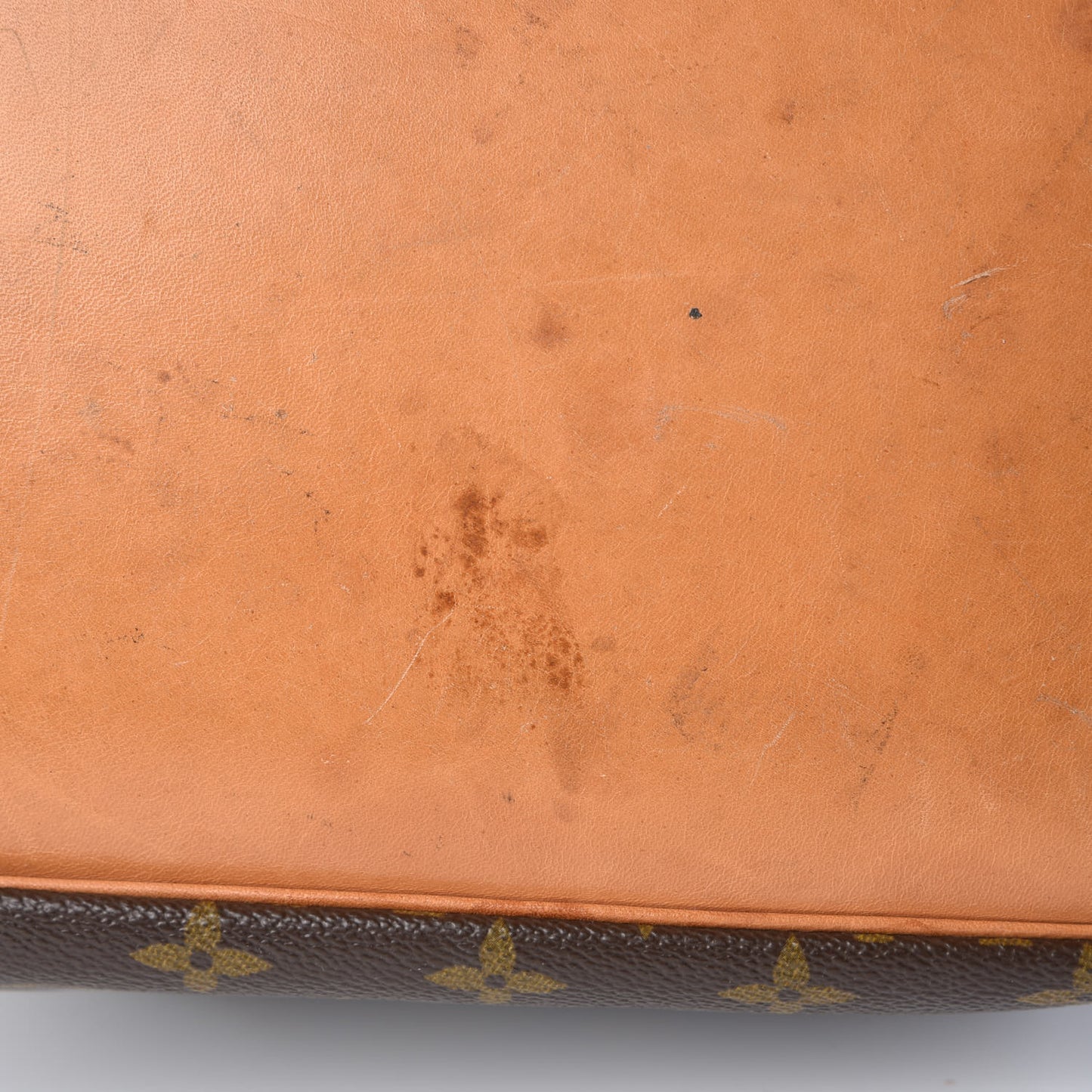 Monogram Petit Noe
