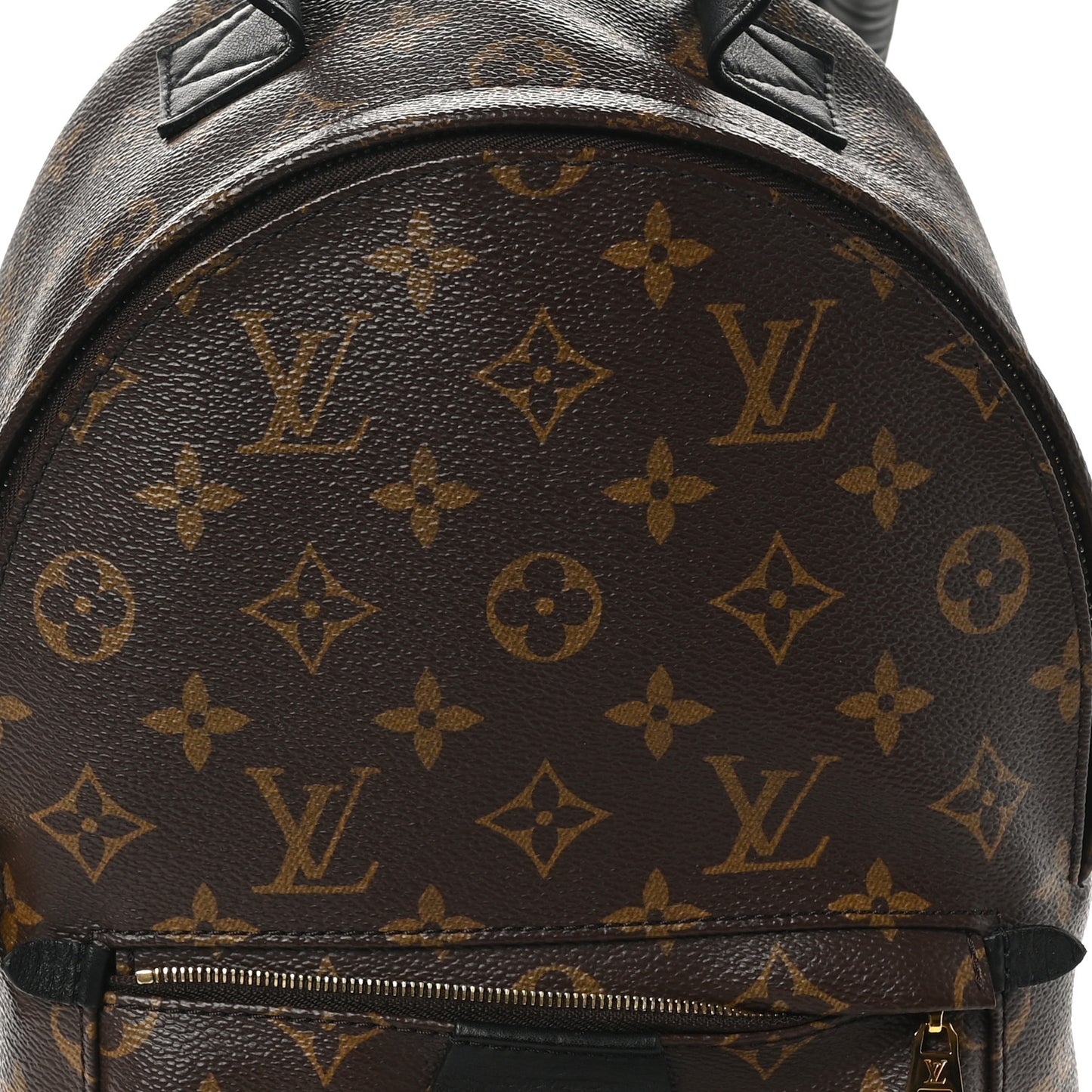 Monogram Palm Springs Backpack PM