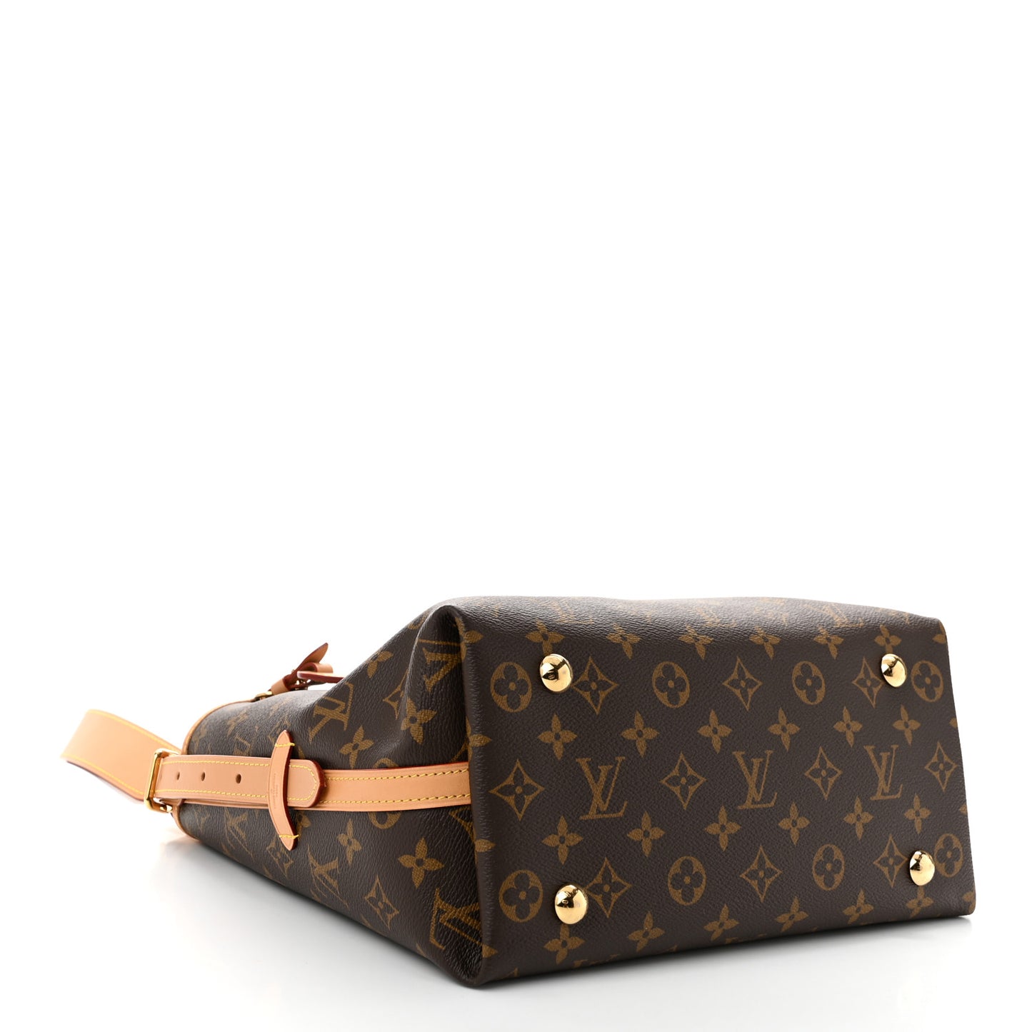 Monogram CarryAll PM