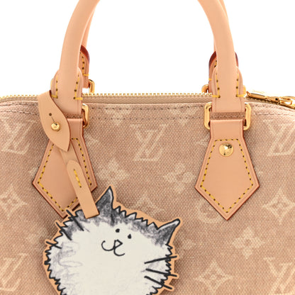 Louis Vuitton Meowgram Grace Coddington Speedy Bandouliere 20 7 of 9