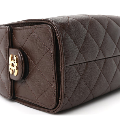 Chanel Caviar Quilted Mini Chanel 25 Handbag Dark Brown 9 of 11