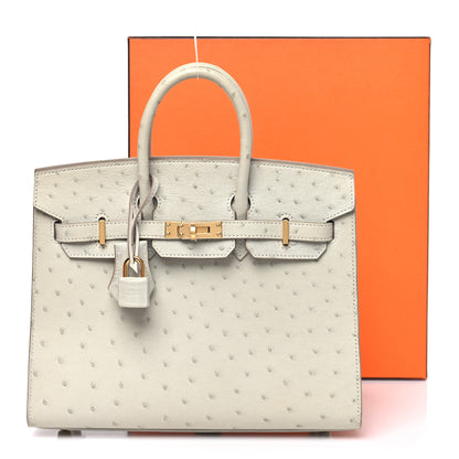 Hermes Ostrich Birkin Sellier 25 Gris Perle 10 of 10