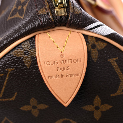 Louis Vuitton Monogram Bay Speedy 30 Rose Ballerine Poppy 6 of 11