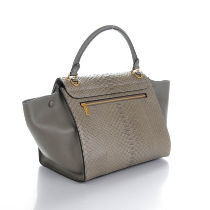 Celine Python Calfskin Medium Trapeze Grey 3 of 7