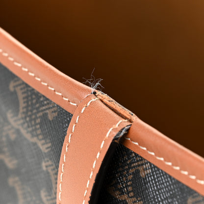 Celine Triomphe Canvas Calfskin Medium Cabas Bag Tan 15 of 19