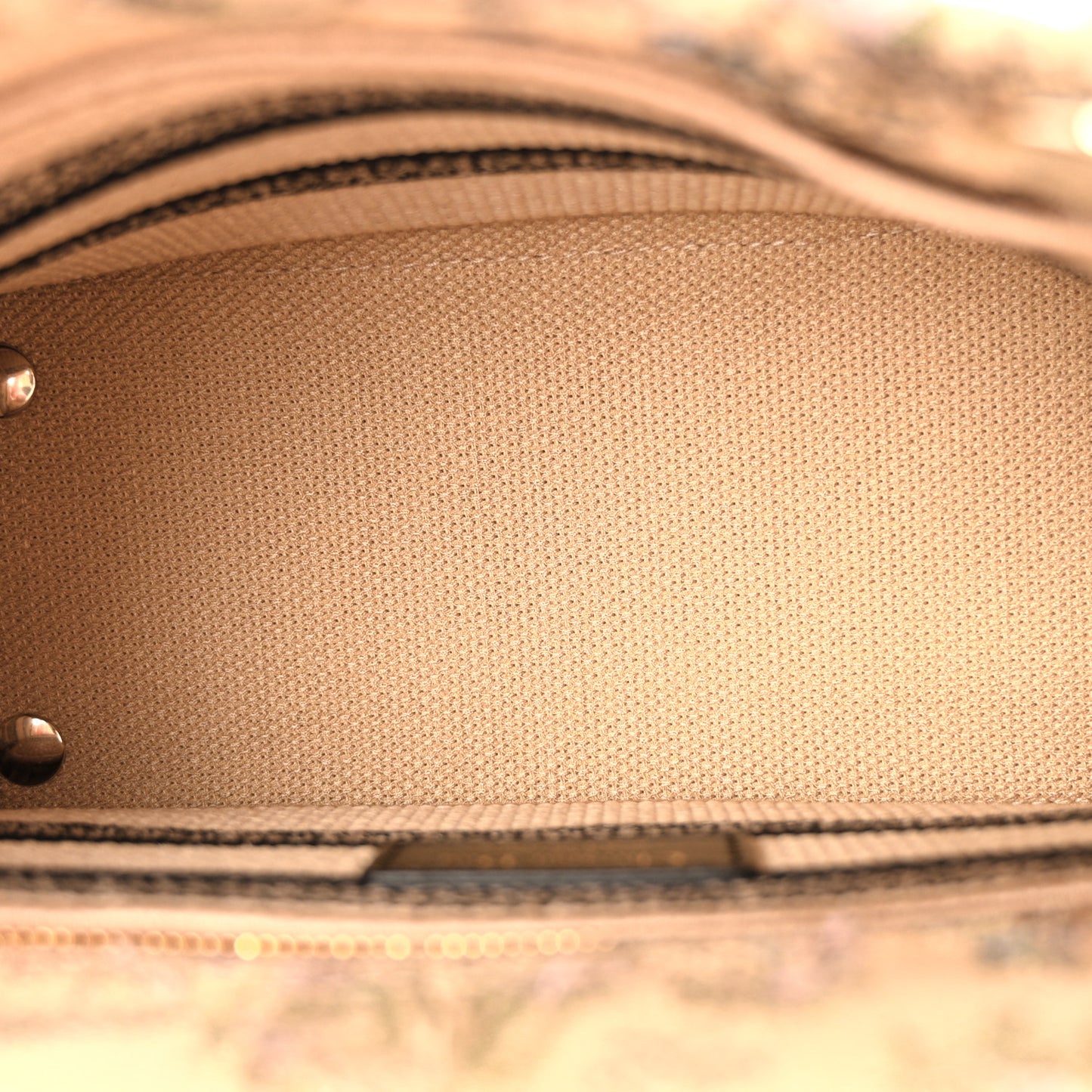 Canvas Cabinet De Curiosites Embroidered Medium Lady D-Lite Beige Multicolor