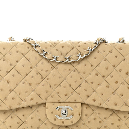 Chanel Ostrich Jumbo Single Flap Light Beige 8 of 12