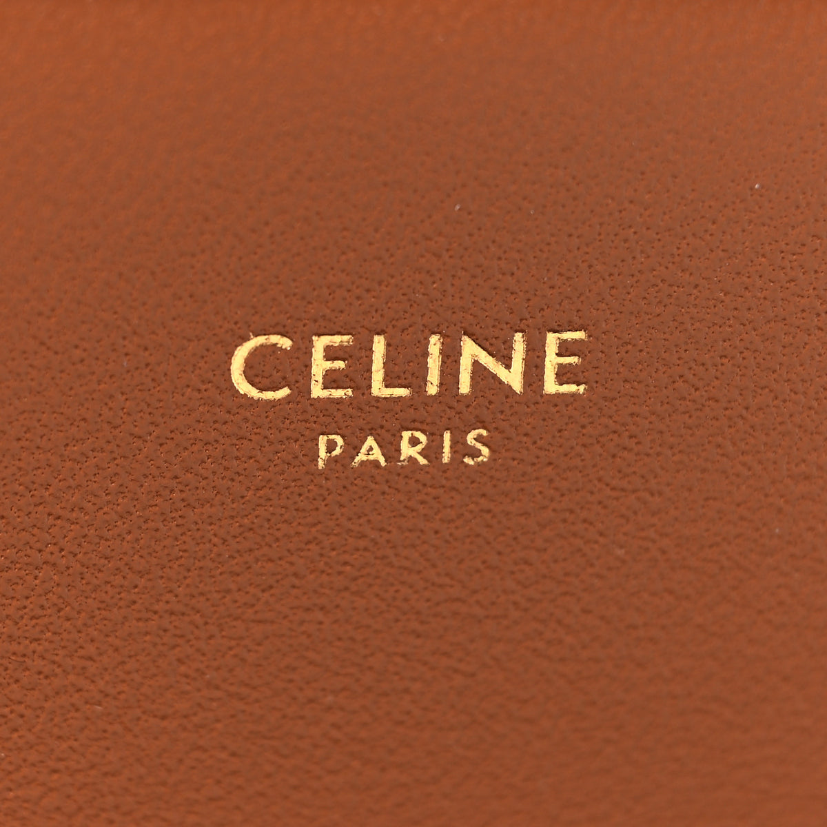 Calfskin Triomphe Canvas Teen Triomphe Bag Tan