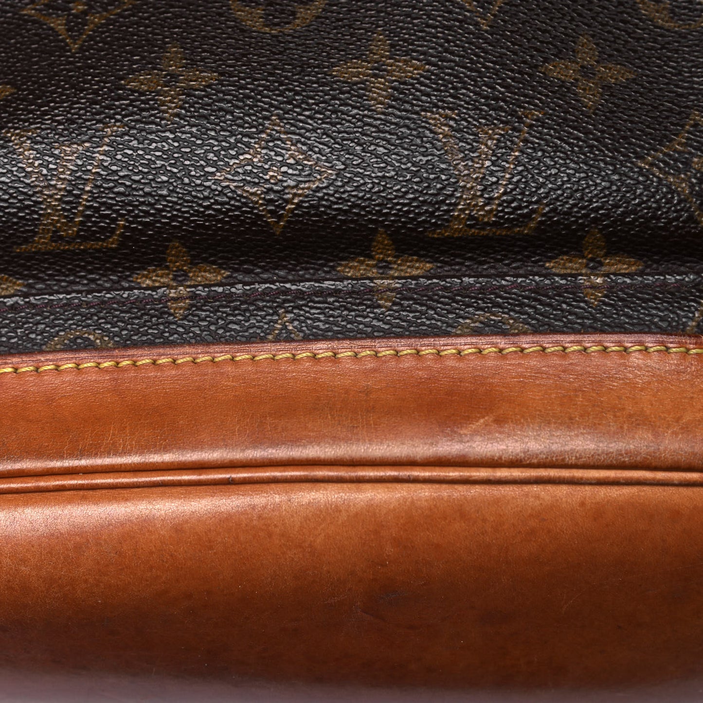 Monogram Montsouris GM Backpack