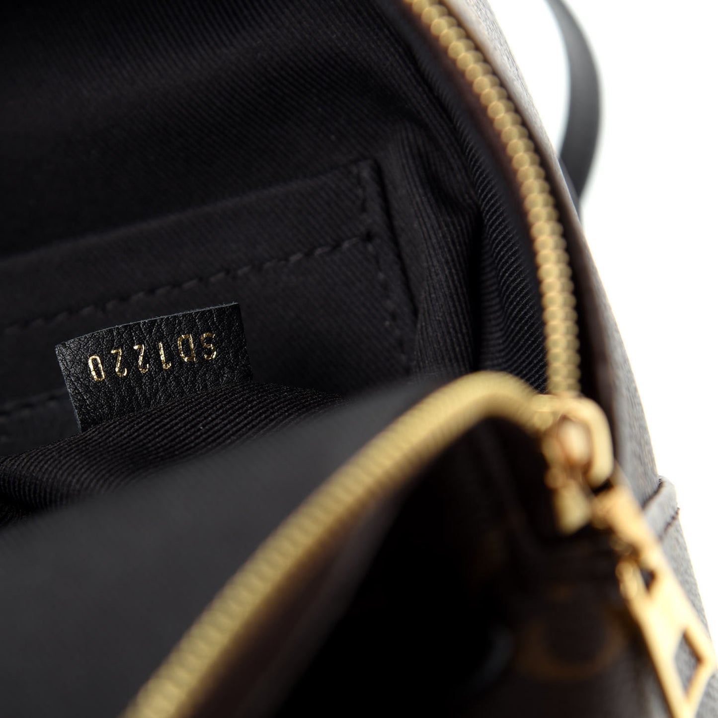 Monogram Palm Springs Backpack Mini