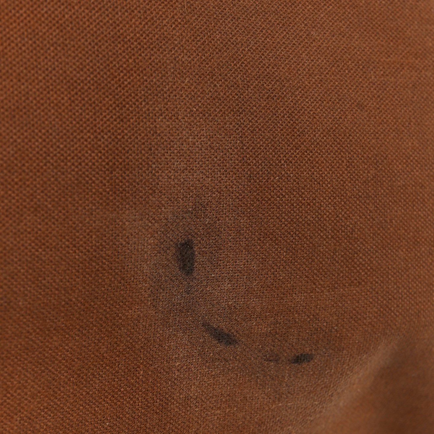 Monogram Saumur 35