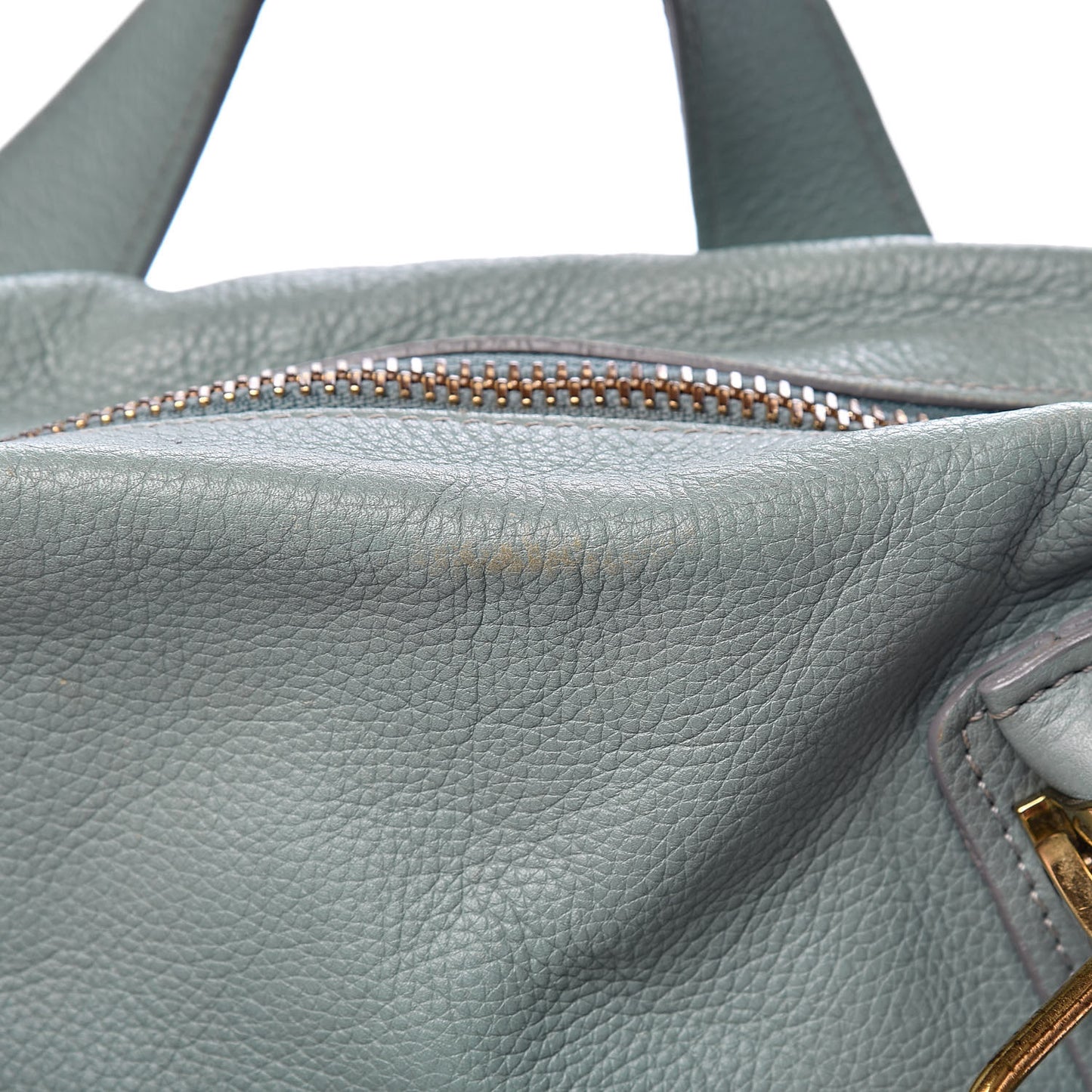 Calfskin Medium Paraty Fresh Mint