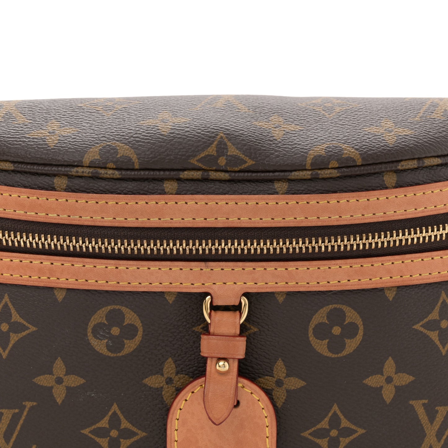 Monogram High Rise Bumbag
