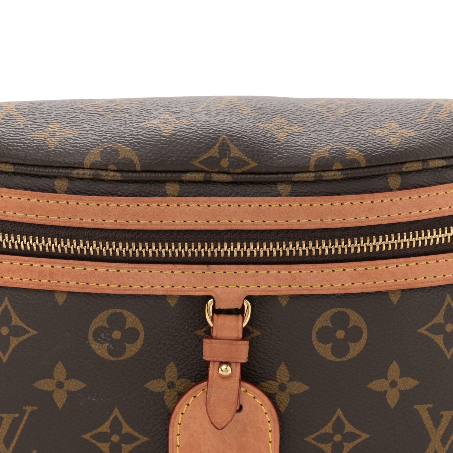 Louis Vuitton Monogram High Rise Bumbag 7 of 10