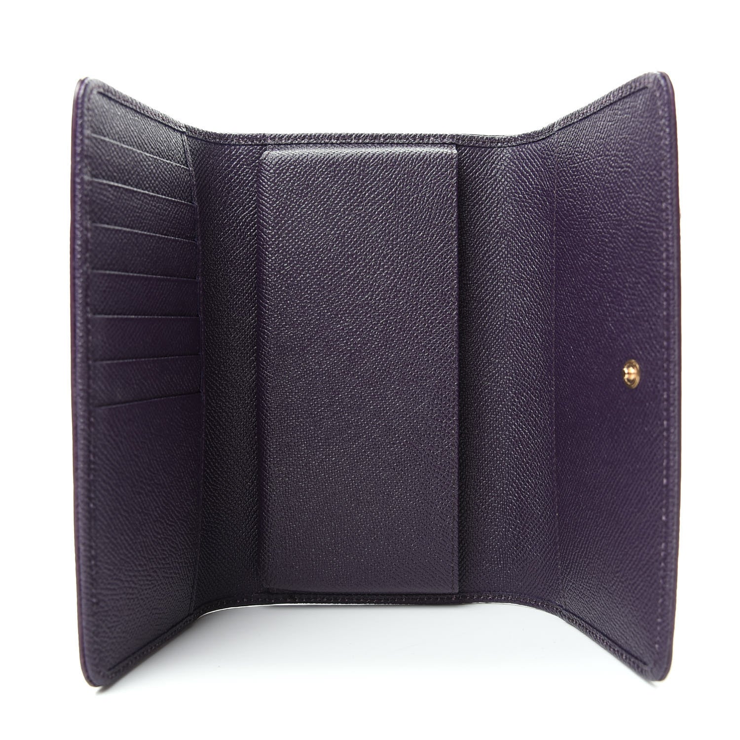 Dolce & Gabbana Iguana Calfskin Crystal Embellished Mini Von Bag Purple 5 of 7