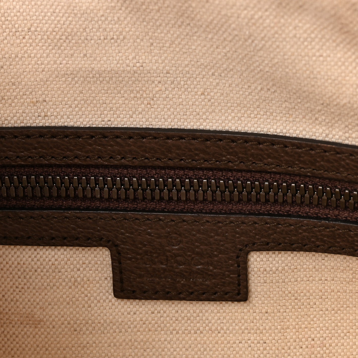 GG Supreme Monogram Web Small Ophidia Half Moon Hobo Brown
