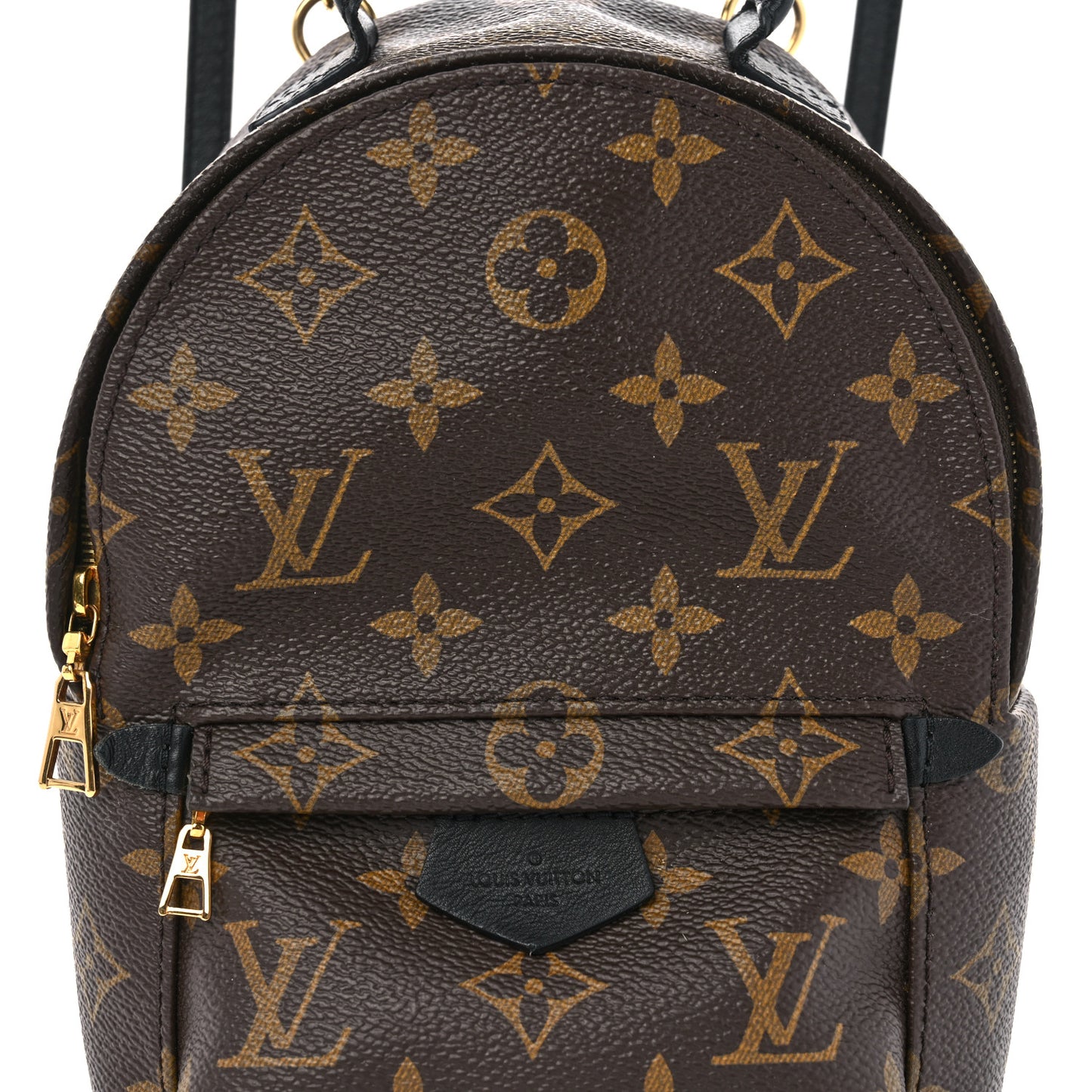 Monogram Palm Springs Backpack Mini