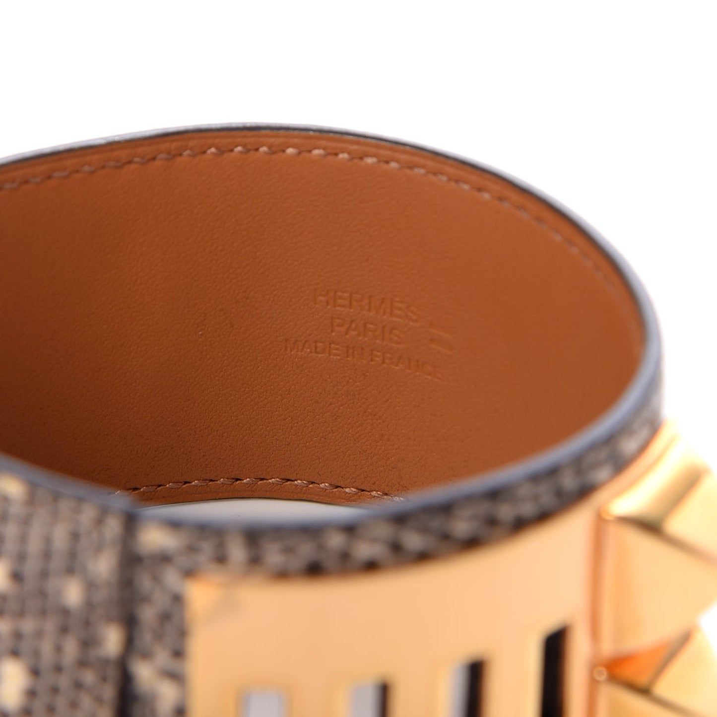 Lizard Collier De Chien CDC Bracelet T2 Ombre