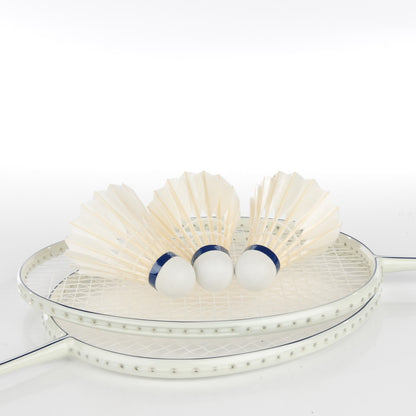 Louis Vuitton Damier Azur Badminton Set 16 of 18