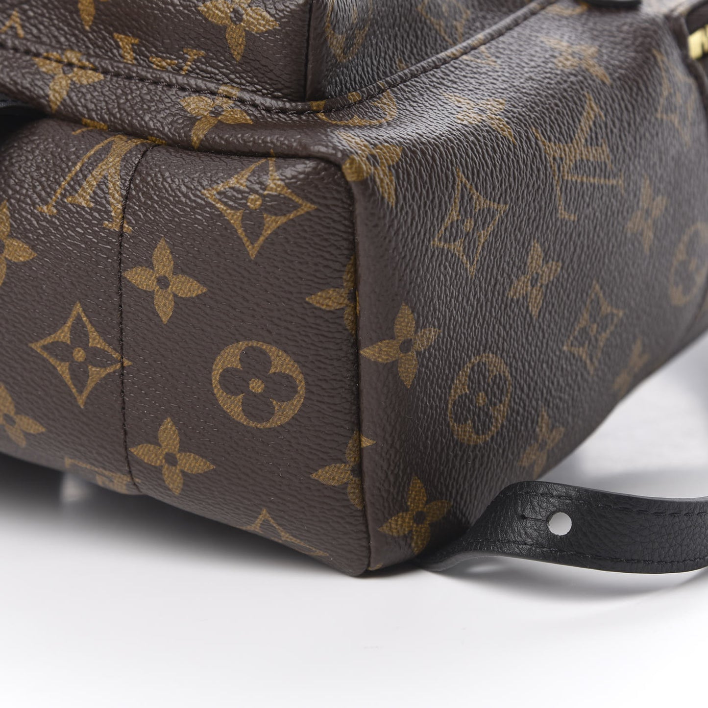 Monogram Palm Springs Backpack PM