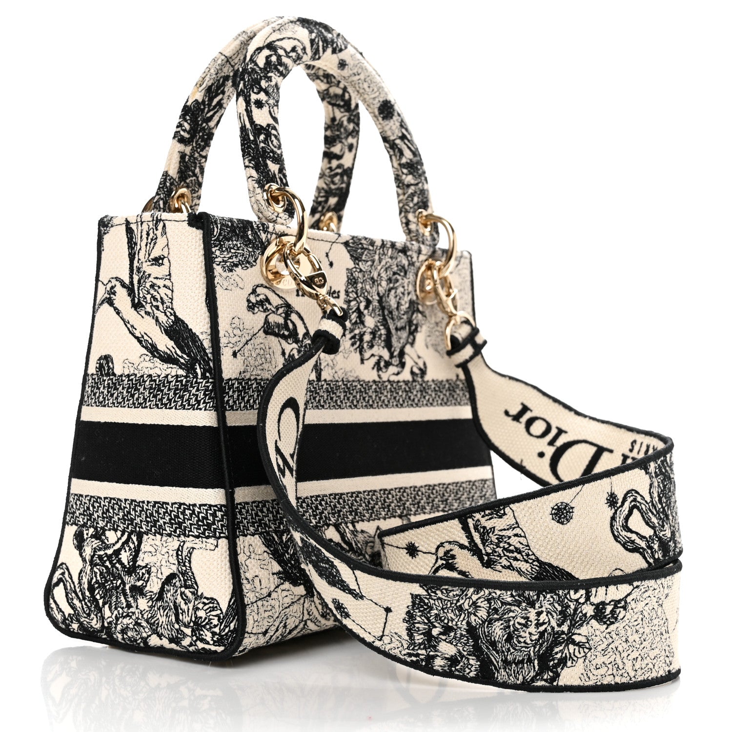 Christian Dior Canvas Embroidered Zodiac Toile De Jouy Medium Lady D-Lite Latte 3 of 11