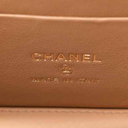 Chanel Lambskin Quilted Small Pillow Crush Vanity Case With Chain Beige 6 of 12