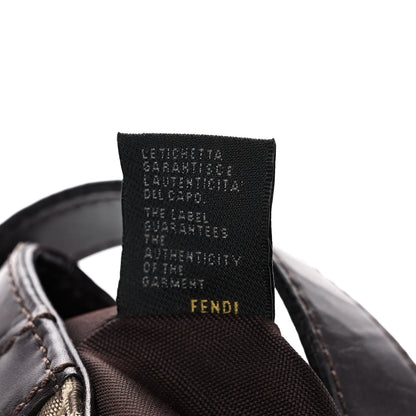 Fendi Zucchino Cuoio Ingrassato Medium Compilation Hobo Panna Salvia Moro 8 of 14