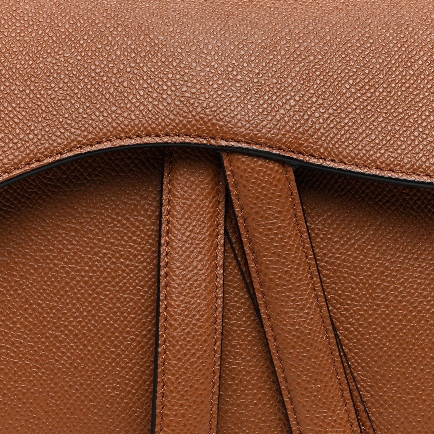 Grained Calfskin Saddle Bag Golden Saddle
