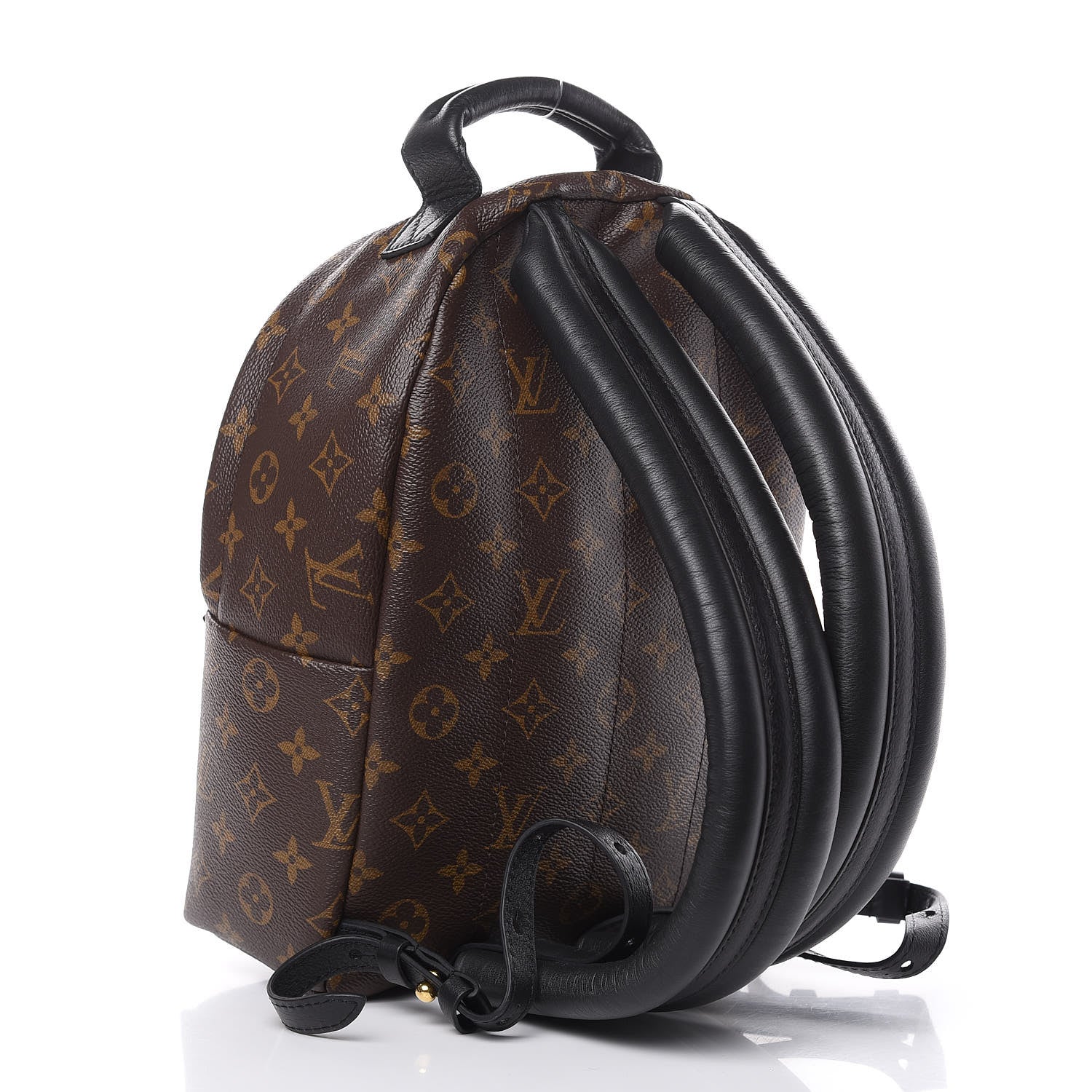 Louis Vuitton Monogram Palm Springs Backpack PM 3 of 9