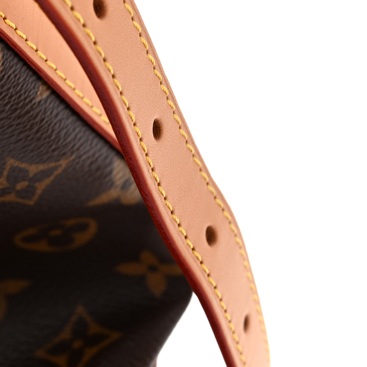 Monogram Carryall MM