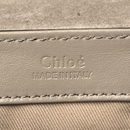 Chloe Goatskin Calfskin Lizard Embossed Mini C Double Carry Antique Green 6 of 8